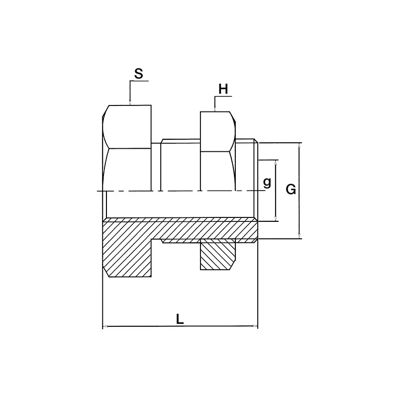 Travers E De Cloison Filetage Gaz En Inox L En